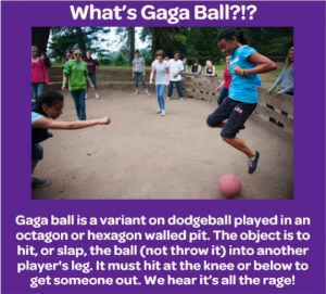 News_Gaga_BallL-300x271 News_Gaga_BallL-300x271